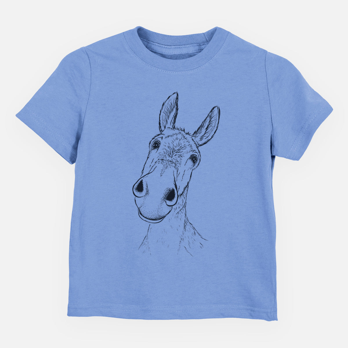 Curious Donkey - Toddler/Youth Shirt