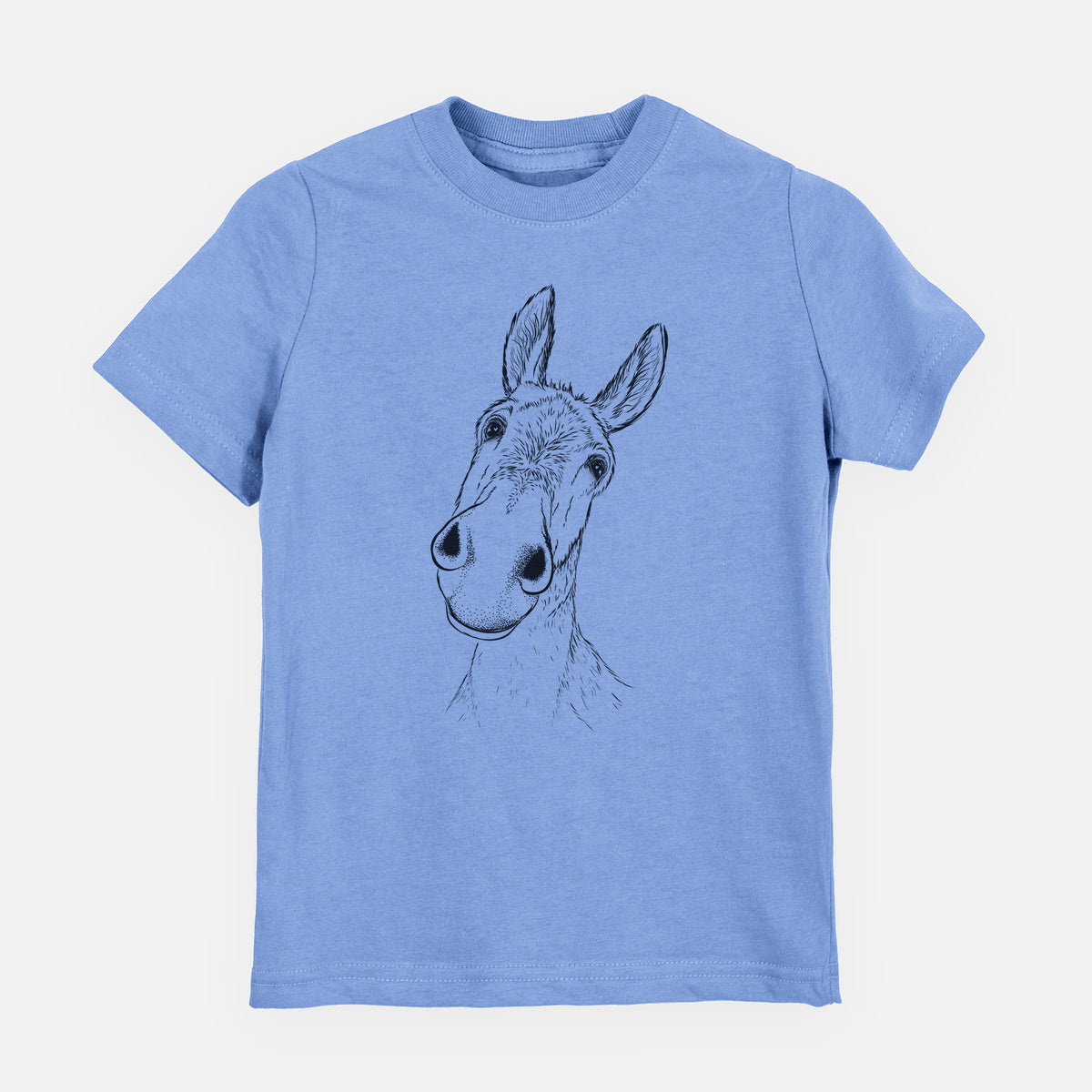 Curious Donkey - Youth Shirt