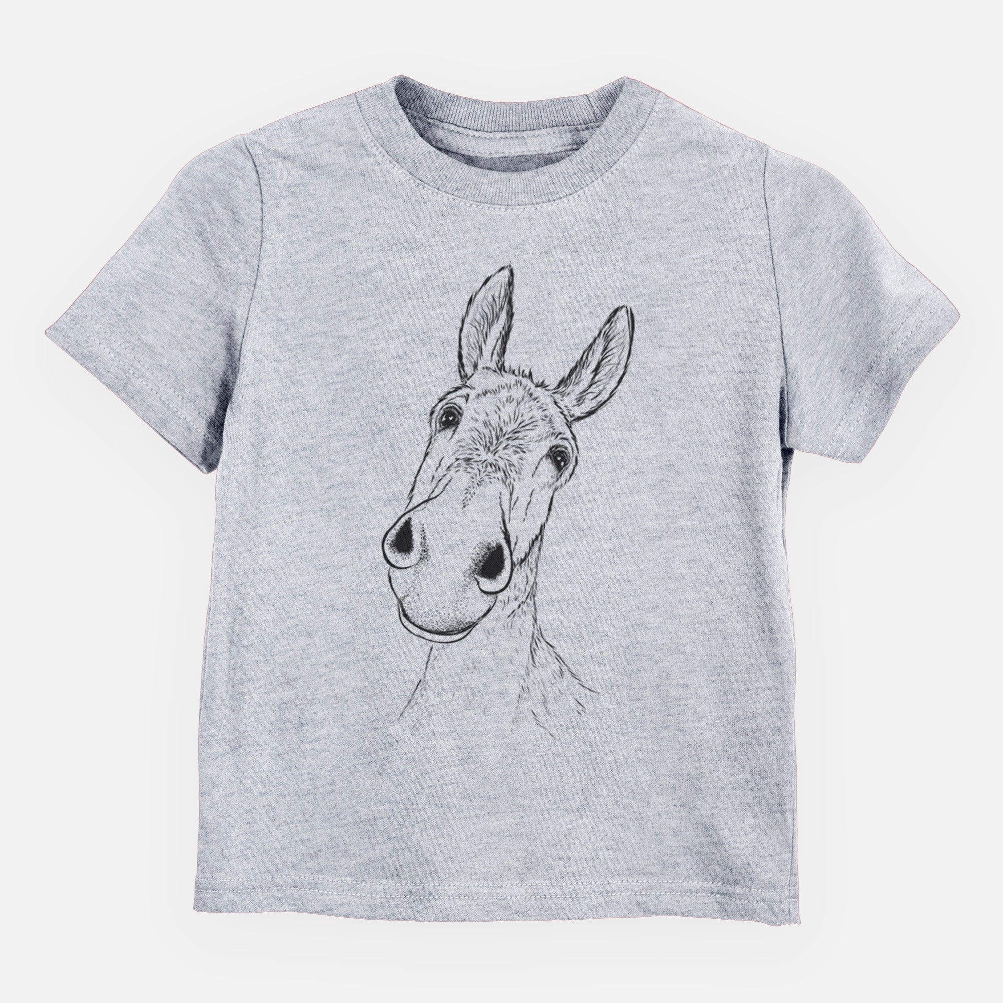 Curious Donkey - Toddler/Youth Shirt