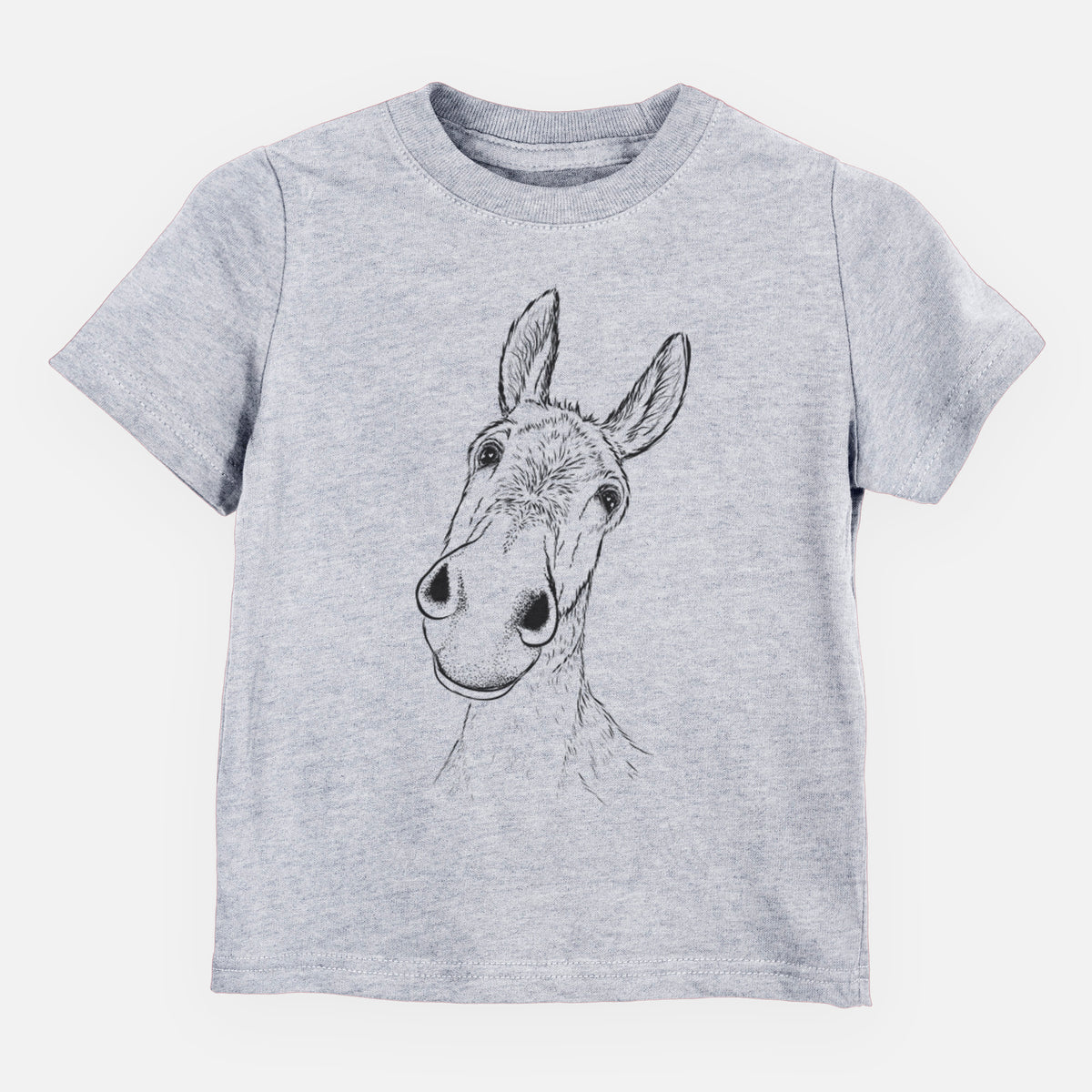 Curious Donkey - Toddler/Youth Shirt