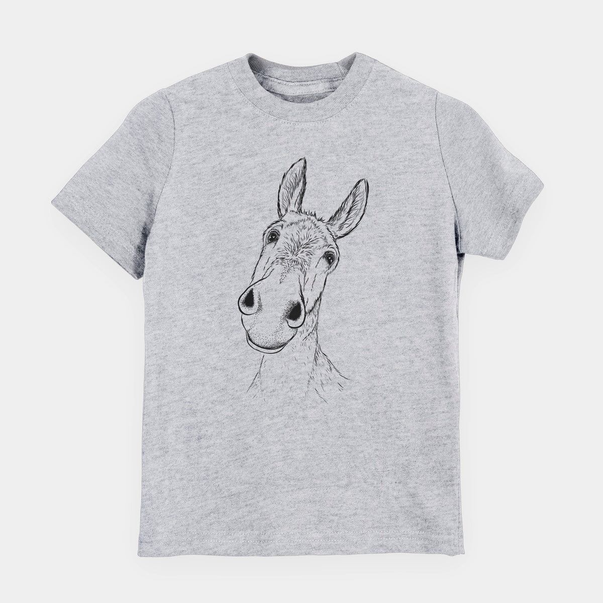 Curious Donkey - Youth Shirt