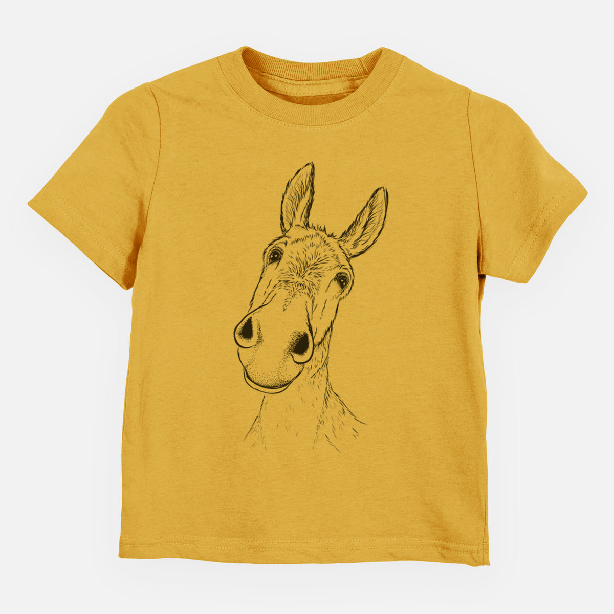 Curious Donkey - Toddler/Youth Shirt