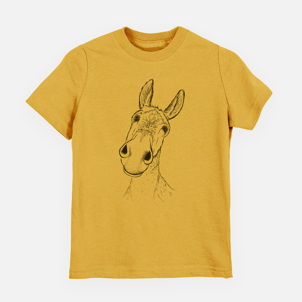 Curious Donkey - Toddler/Youth Shirt