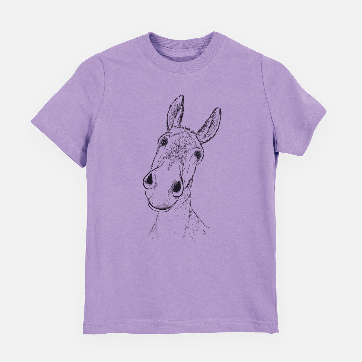 Curious Donkey - Youth Shirt