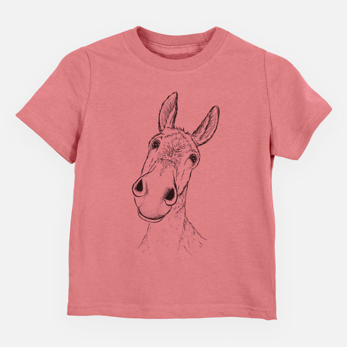 Curious Donkey - Toddler/Youth Shirt