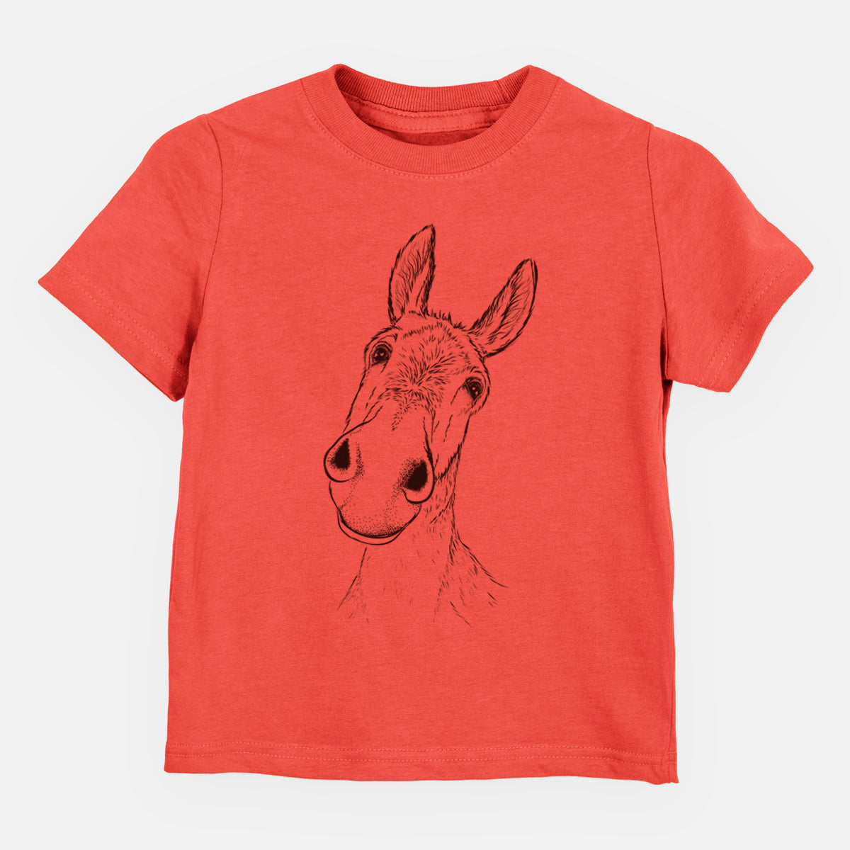 Curious Donkey - Toddler/Youth Shirt