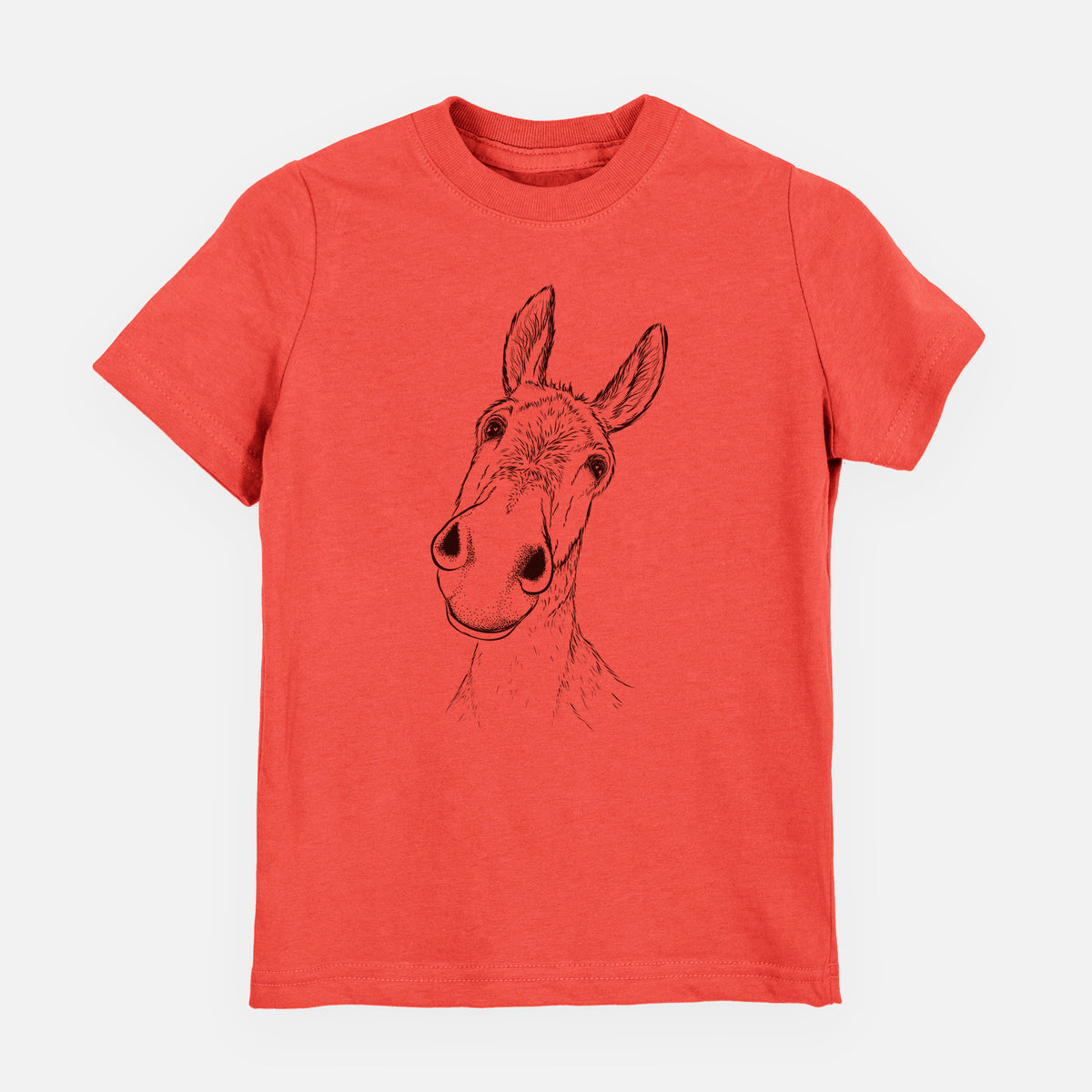 Curious Donkey - Toddler/Youth Shirt