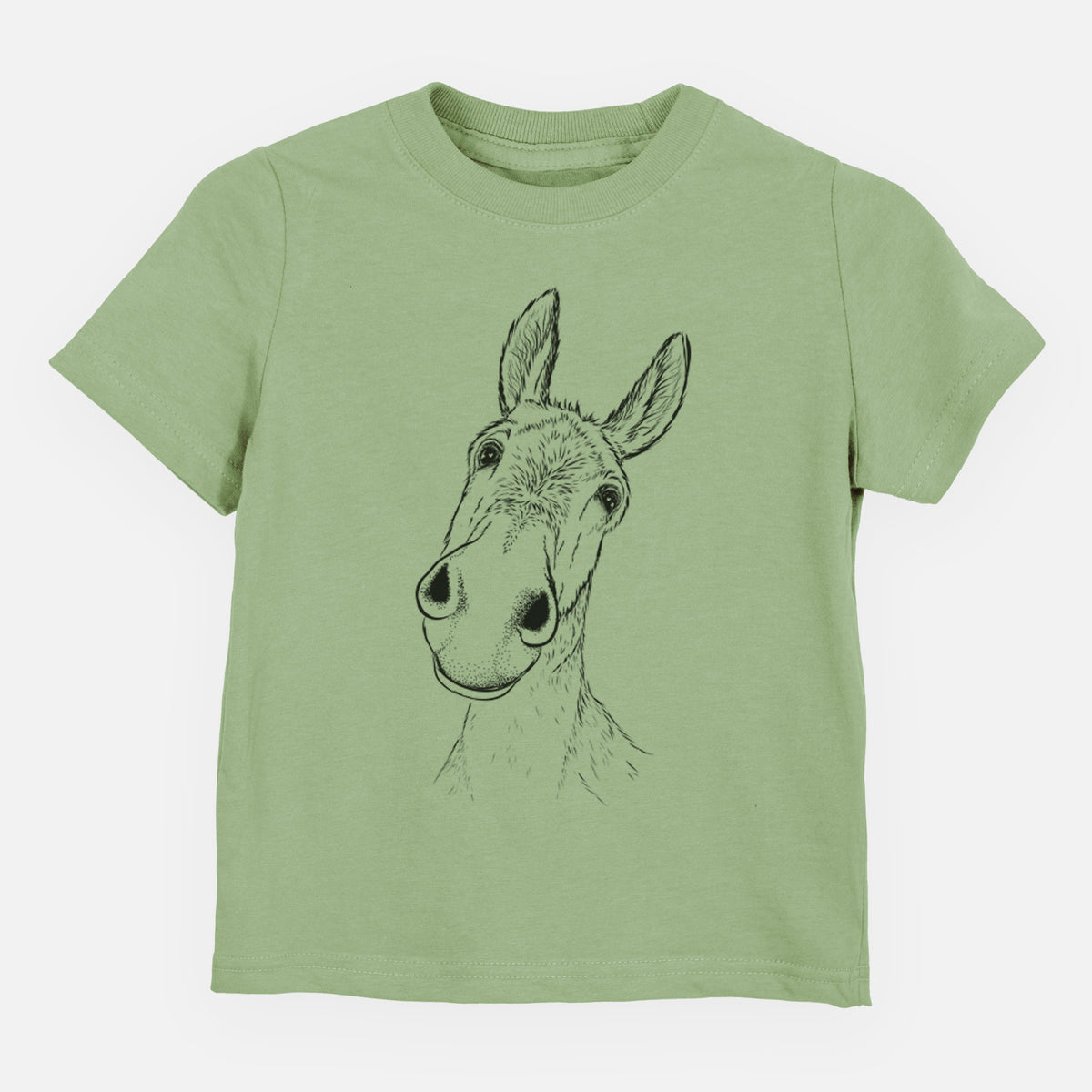 Curious Donkey - Toddler/Youth Shirt