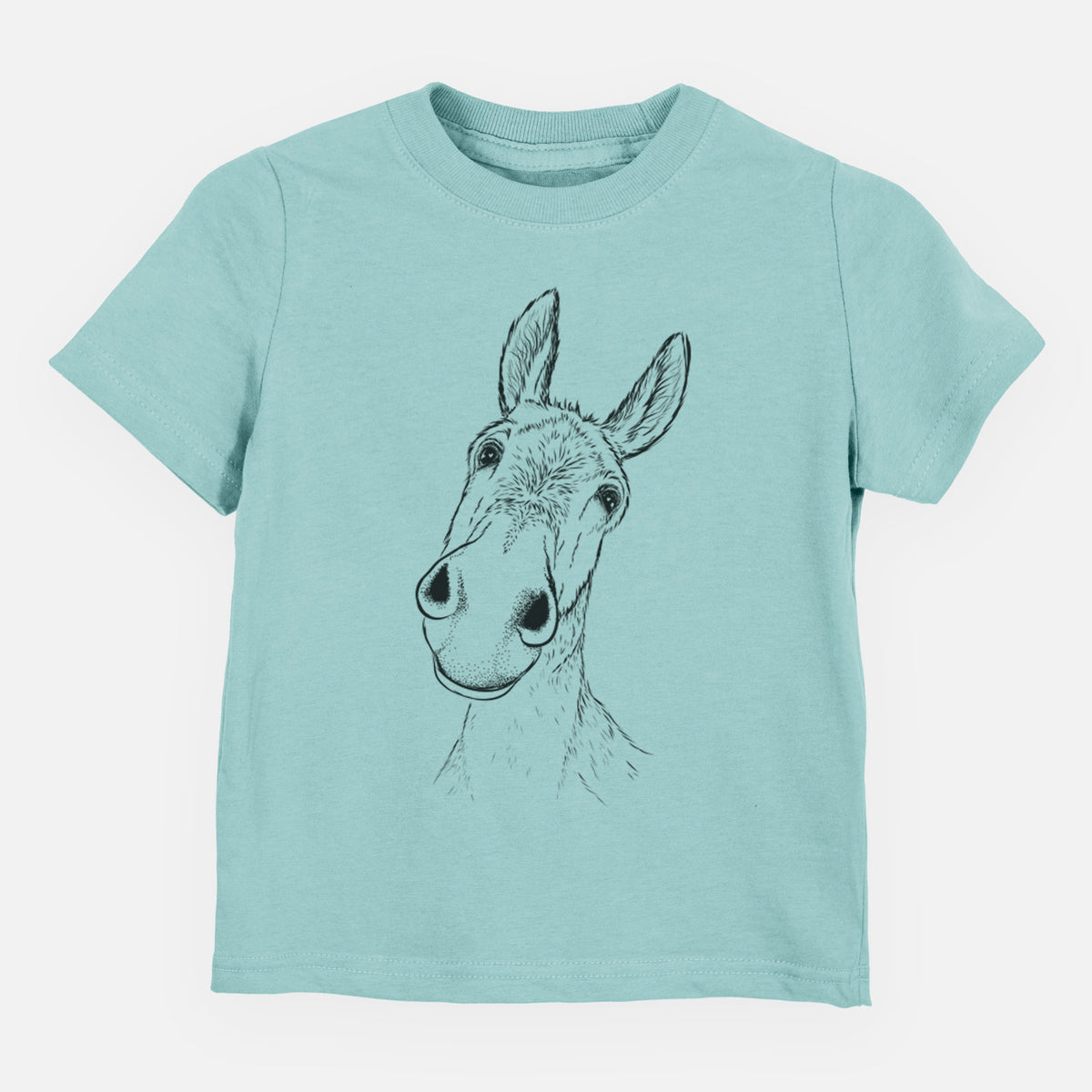 Curious Donkey - Toddler/Youth Shirt