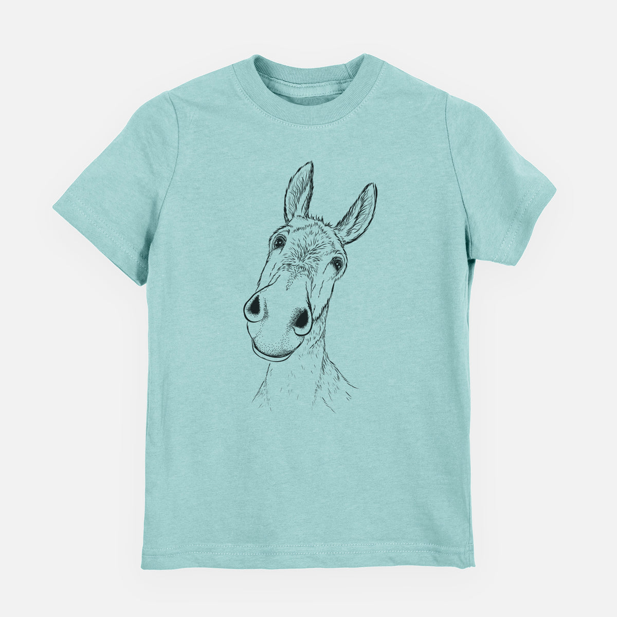 Curious Donkey - Youth Shirt