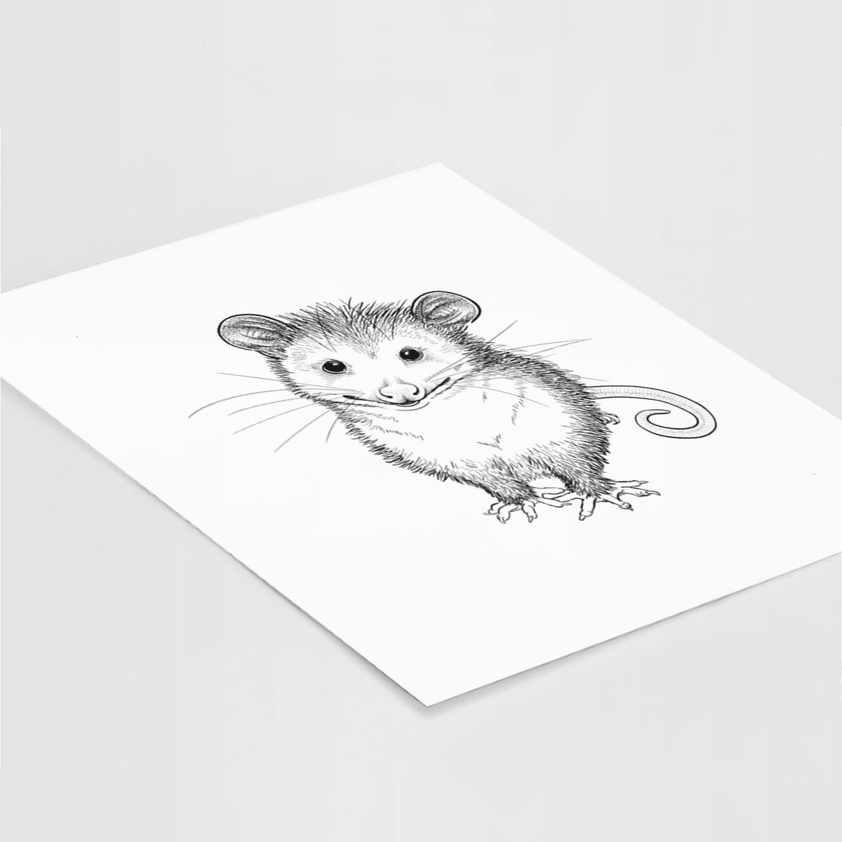 Cute Opossum - Fine Art Print