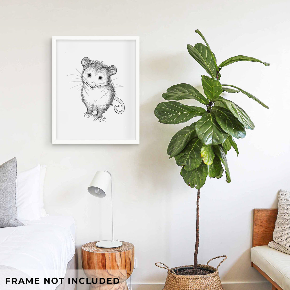 Cute Opossum - Fine Art Print