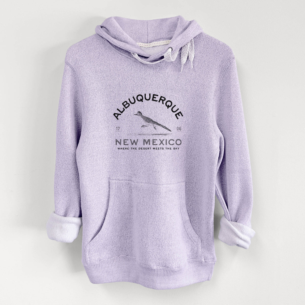 Albuquerque New Mexico Roadrunner - Knit Hoodie