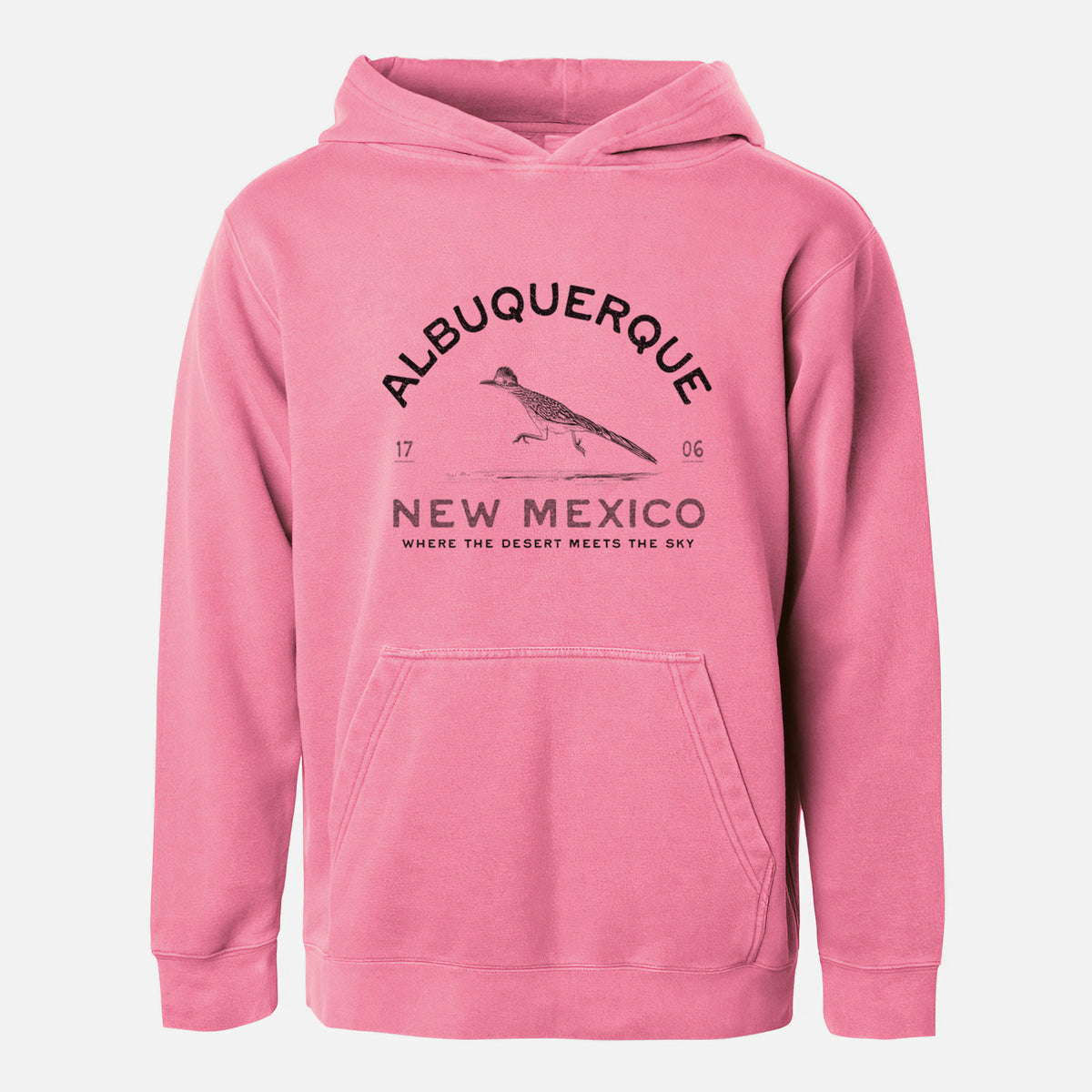 Albuquerque New Mexico Roadrunner - Youth Pigment Dyed Hoodie