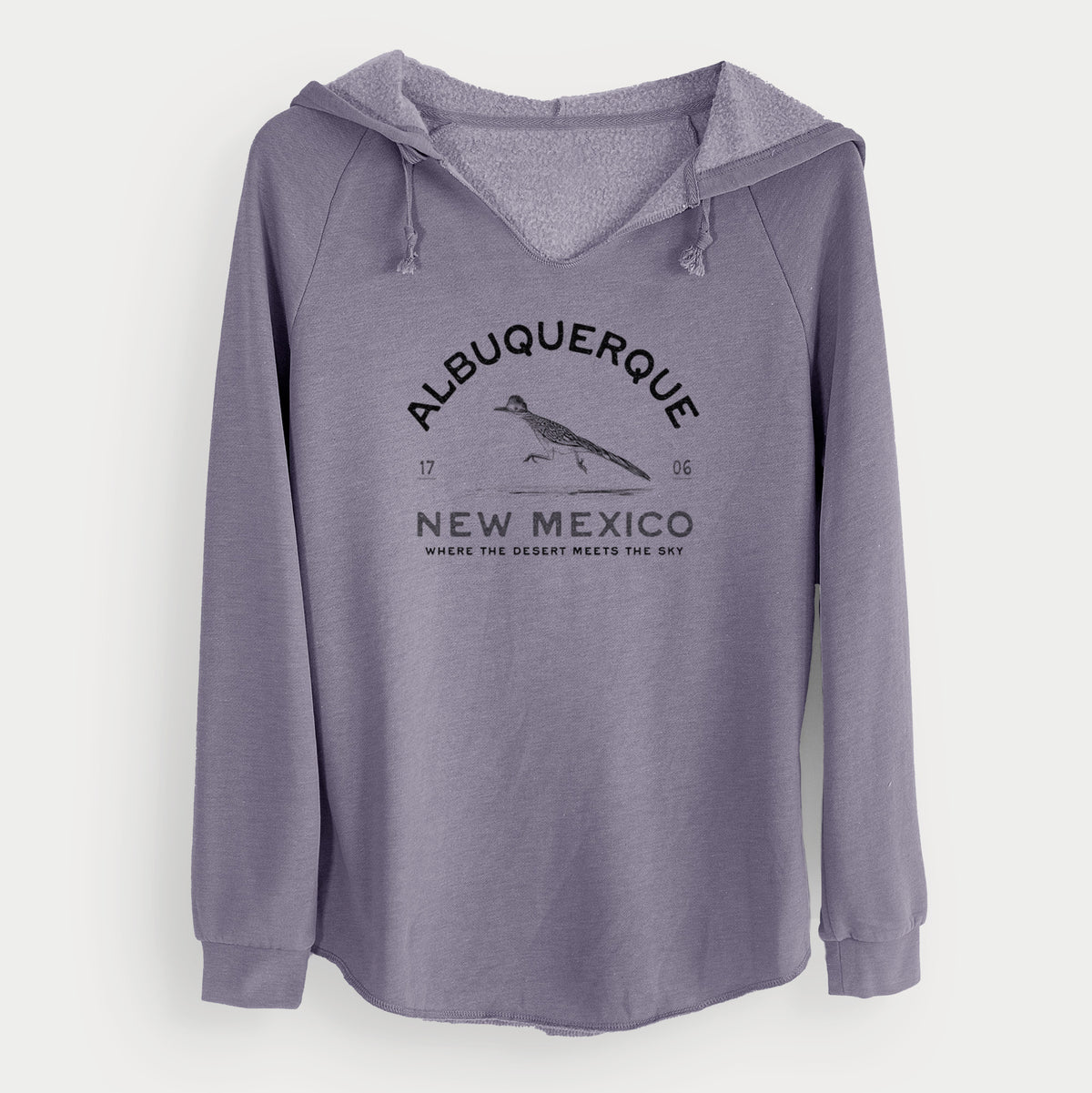 Albuquerque New Mexico Roadrunner - Cali Wave Hooded Sweatshirt