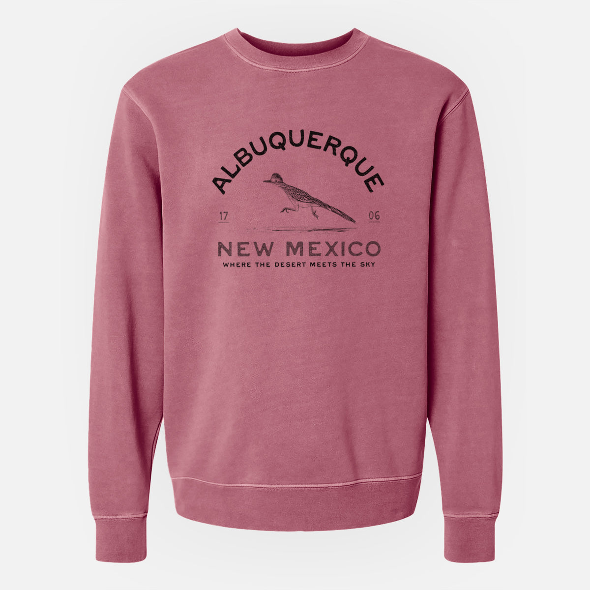 Albuquerque New Mexico Roadrunner - Unisex Pigment Dyed Crew Sweatshirt