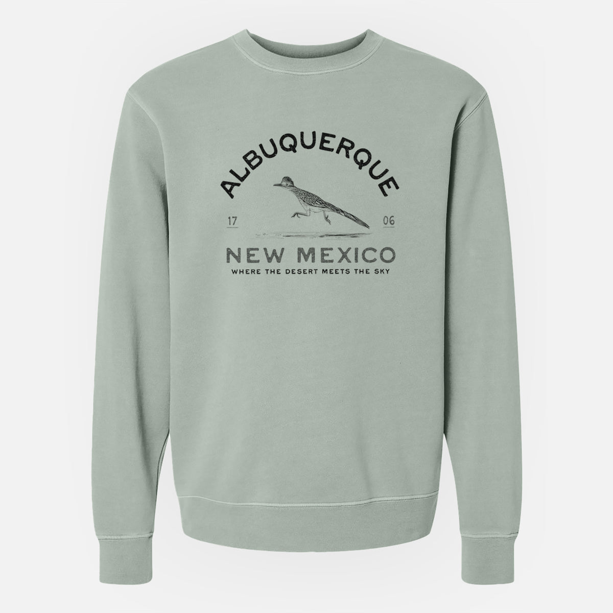 Albuquerque New Mexico Roadrunner - Unisex Pigment Dyed Crew Sweatshirt