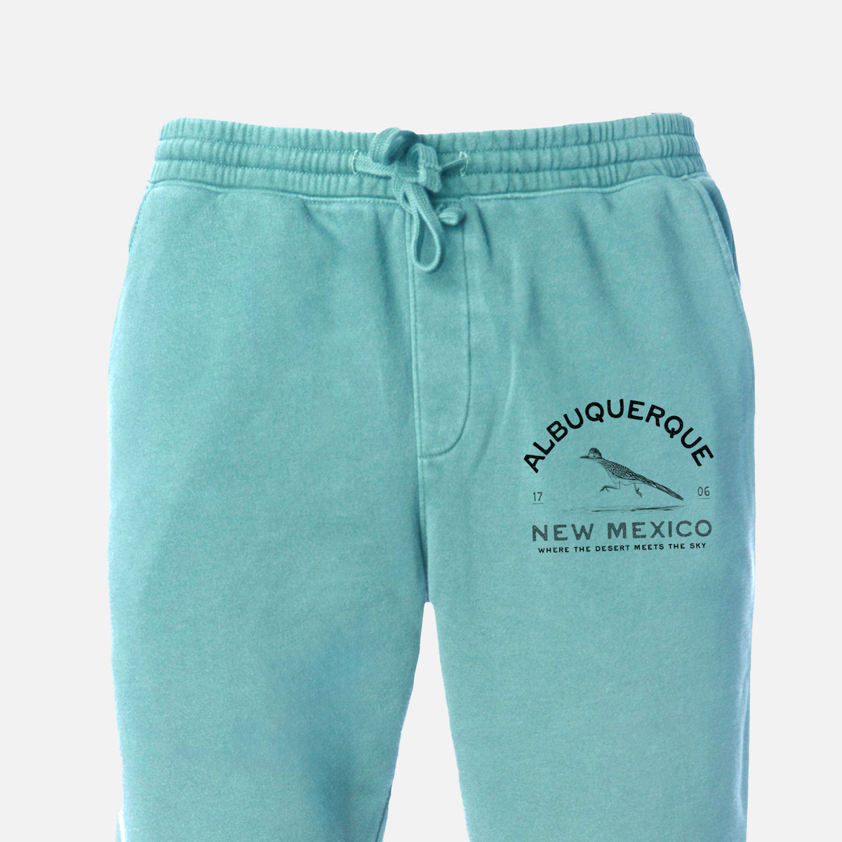 Albuquerque New Mexico Roadrunner - Unisex Pigment Dyed Sweatpants