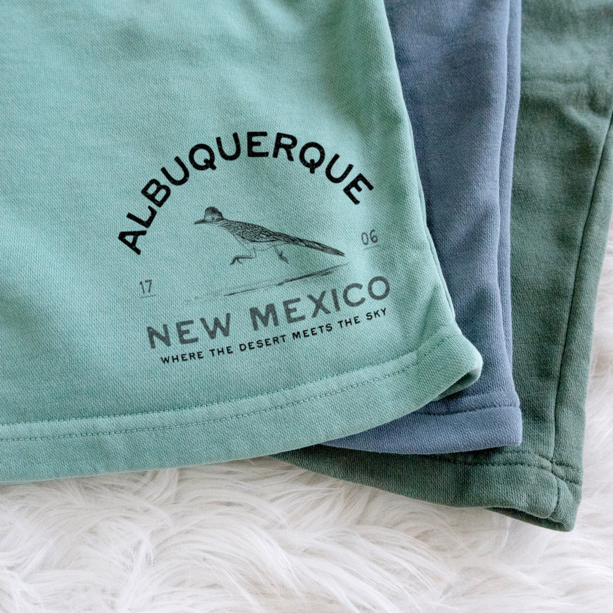 Albuquerque New Mexico Roadrunner - Unisex Pigment Dyed Shorts
