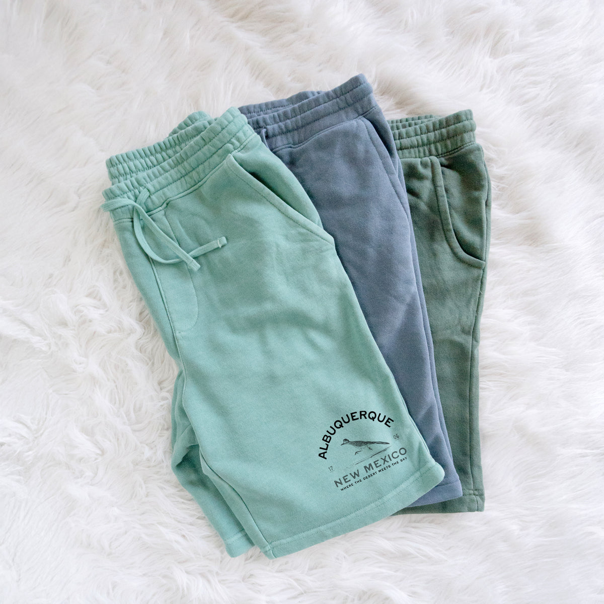 Albuquerque New Mexico Roadrunner - Unisex Pigment Dyed Shorts