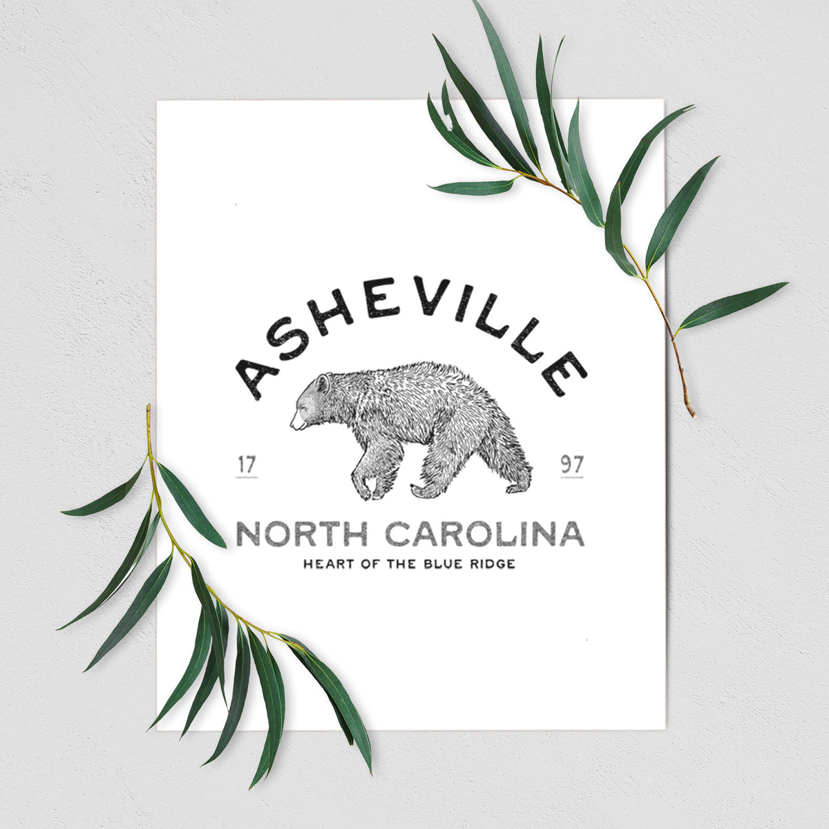 Asheville North Carolina - Black Bear - Fine Art Print