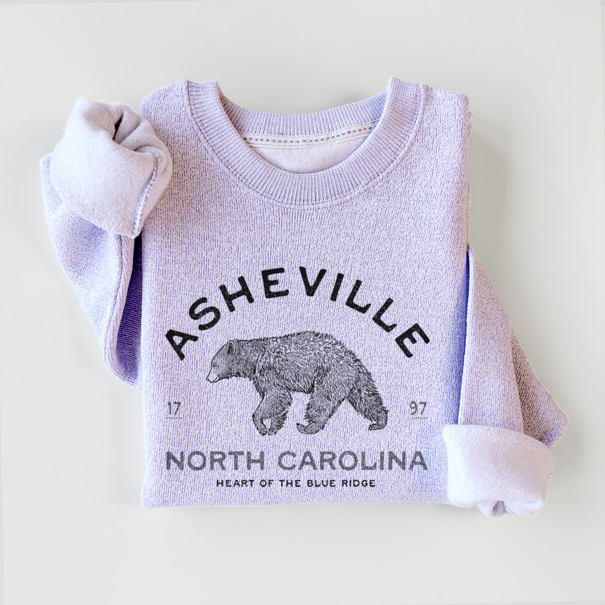Asheville North Carolina - Black Bear - Knit Sweatshirt