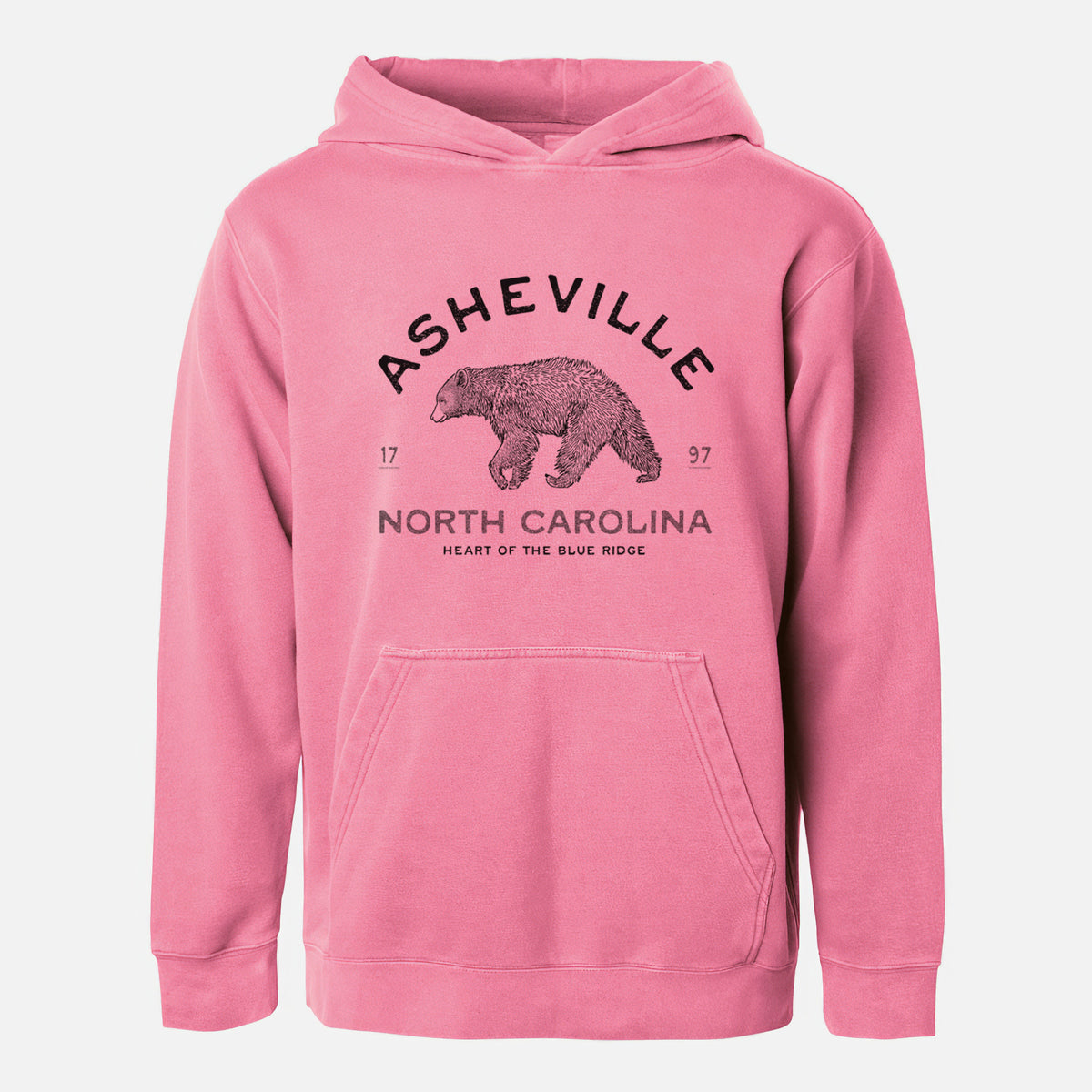 Asheville North Carolina - Black Bear - Youth Pigment Dyed Hoodie
