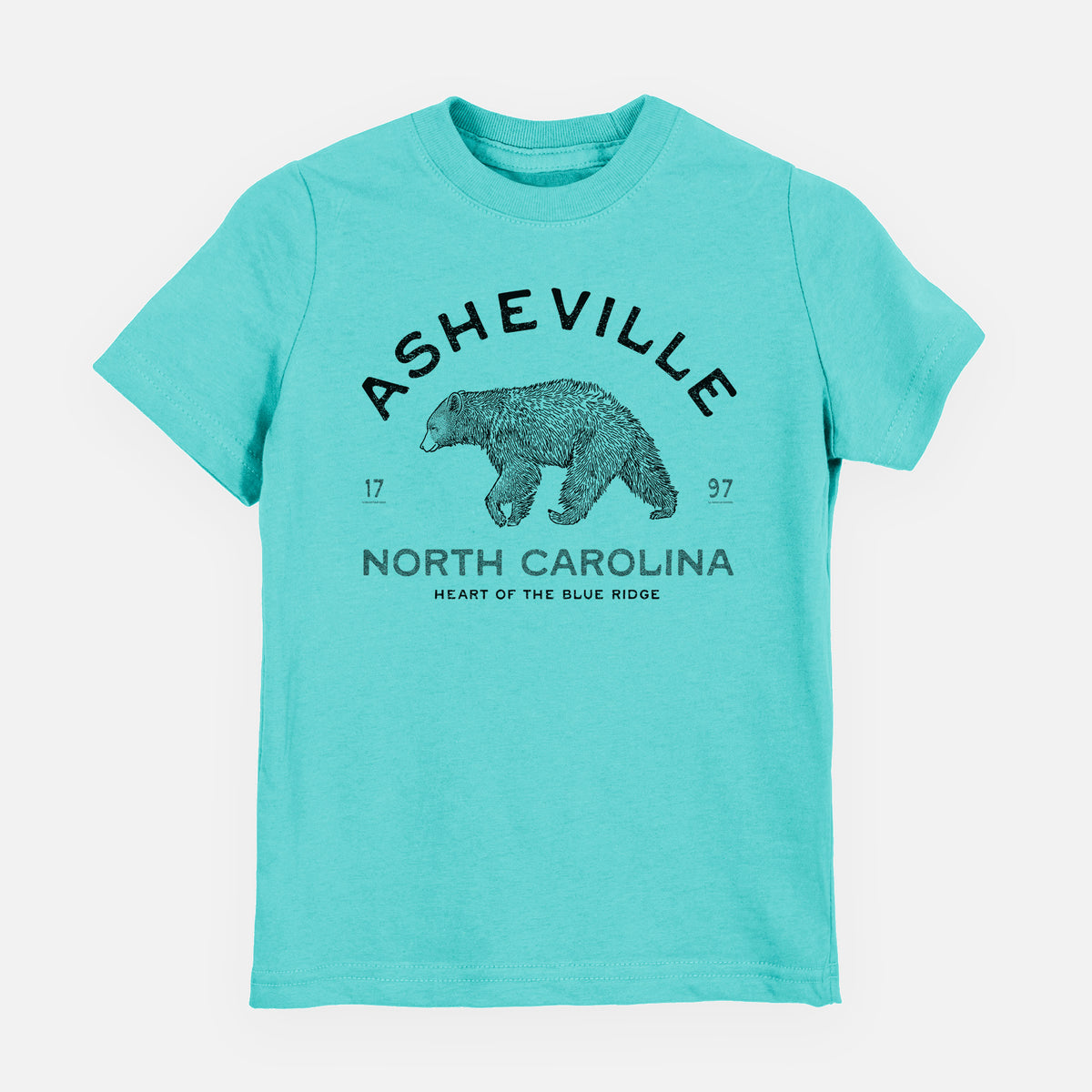 Asheville North Carolina - Black Bear - Toddler/Youth Shirt