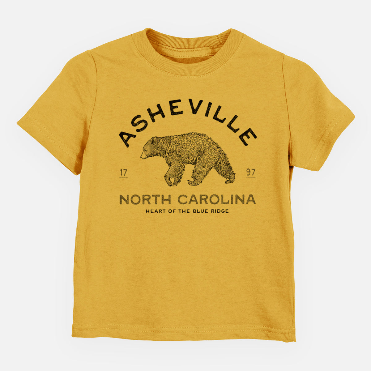 Asheville North Carolina - Black Bear - Toddler/Youth Shirt