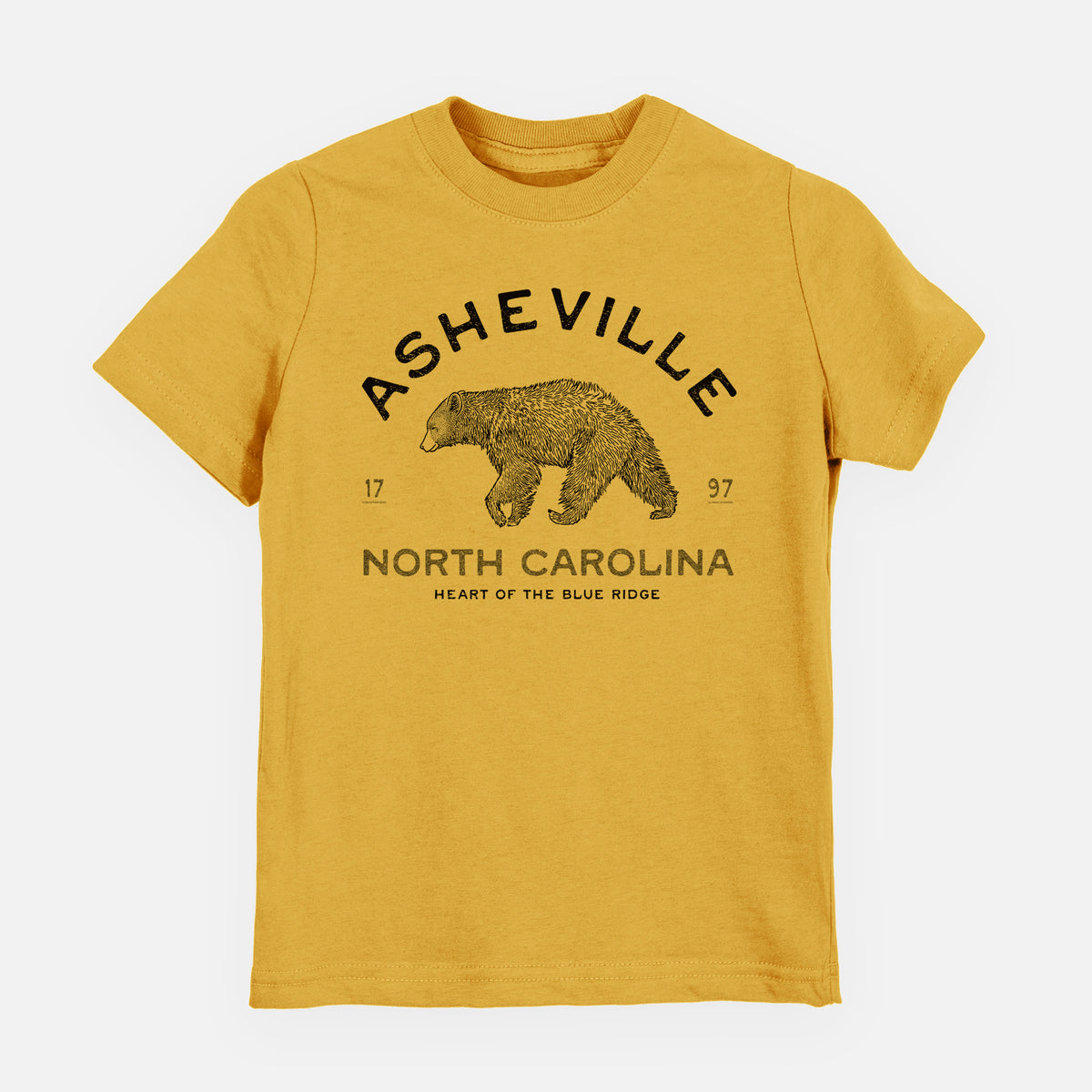Asheville North Carolina - Black Bear - Toddler/Youth Shirt