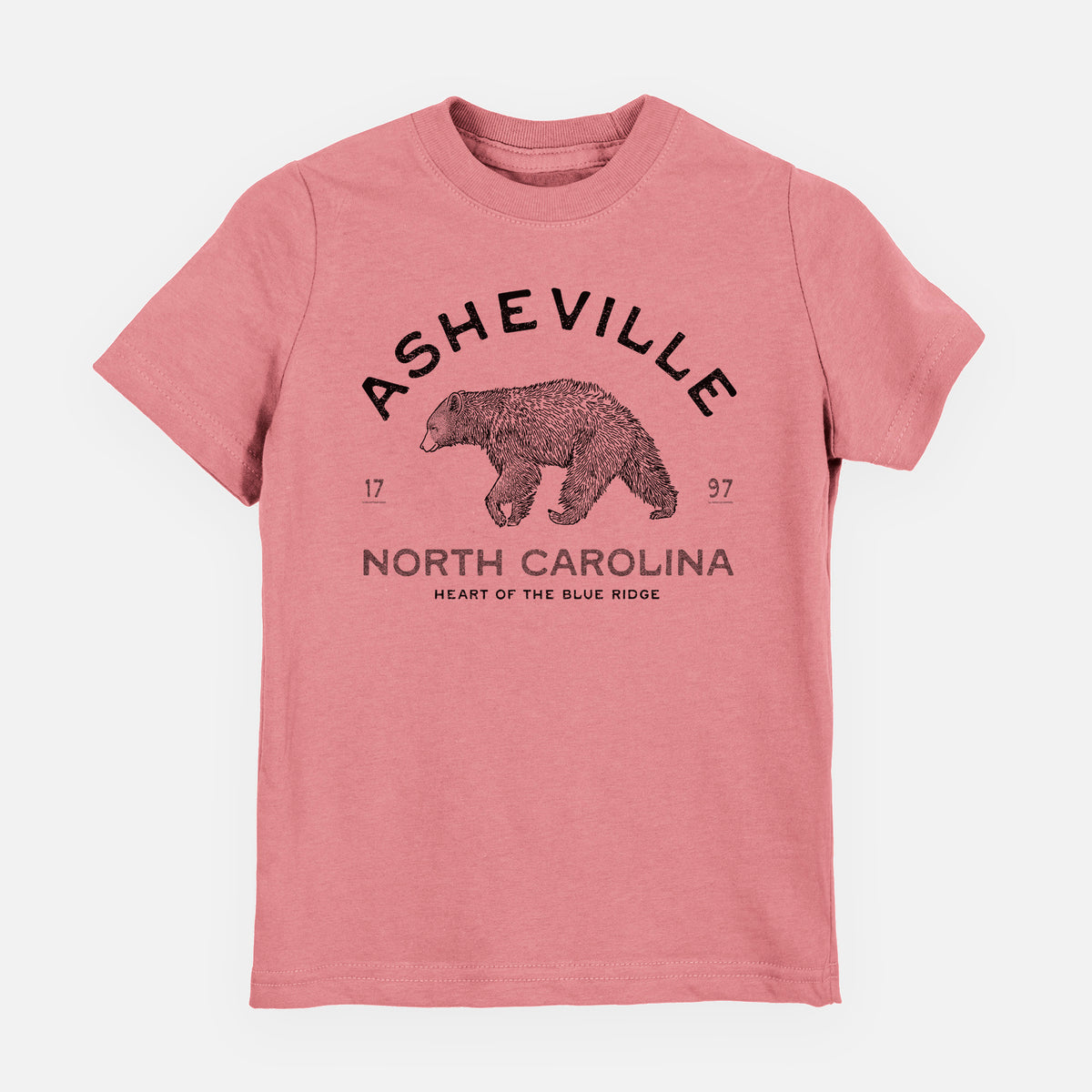 Asheville North Carolina - Black Bear - Toddler/Youth Shirt