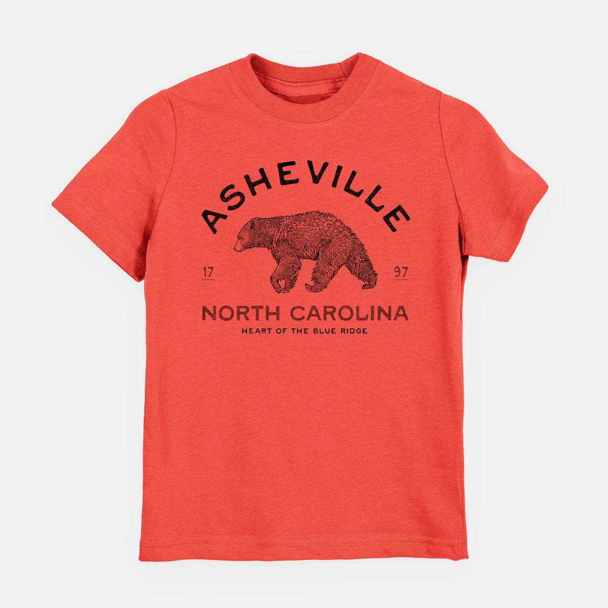 Asheville North Carolina - Black Bear - Toddler/Youth Shirt