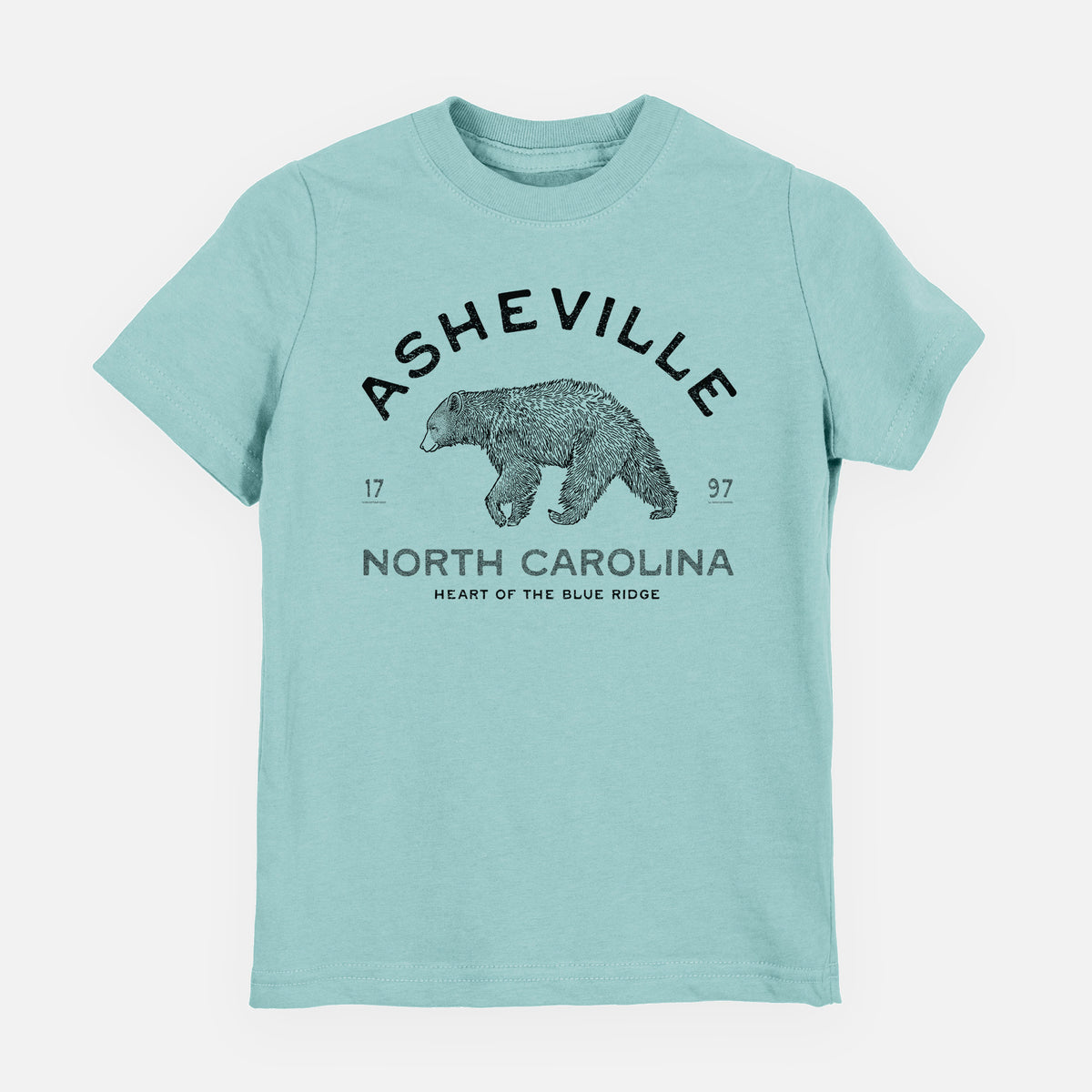 Asheville North Carolina - Black Bear - Toddler/Youth Shirt