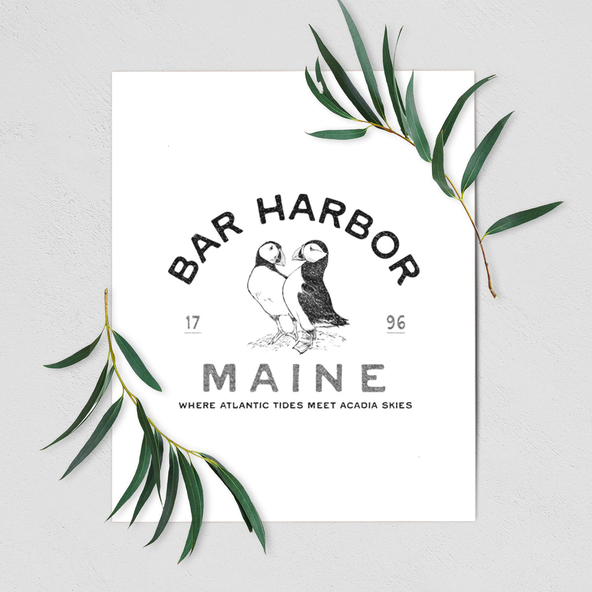 Bar Harbor Maine - Atlantic Puffins - Fine Art Print