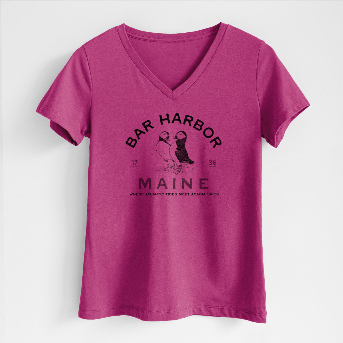 Bar Harbor Maine - Atlantic Puffins - Women's Lightweight Relaxed Fit 100% Cotton V-neck