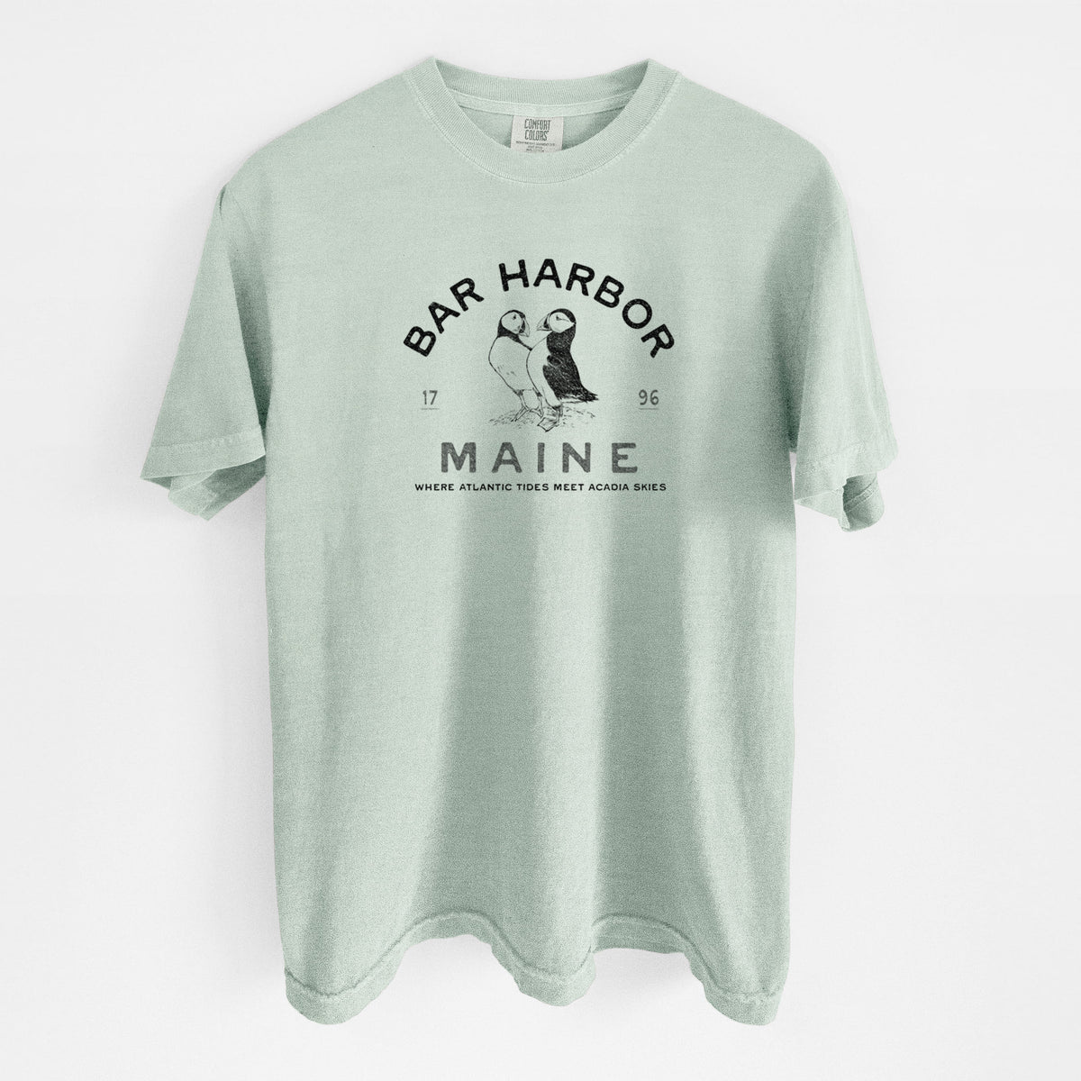 Bar Harbor Maine - Atlantic Puffins - Unisex Comfort Colors Garment-Dyed Heavyweight T-shirt