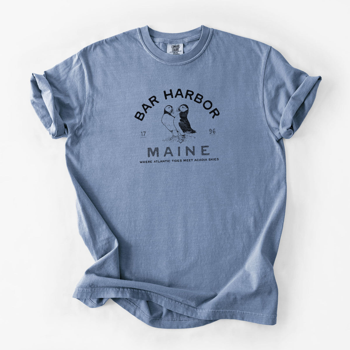 Bar Harbor Maine - Atlantic Puffins - Unisex Comfort Colors Garment-Dyed Heavyweight T-shirt