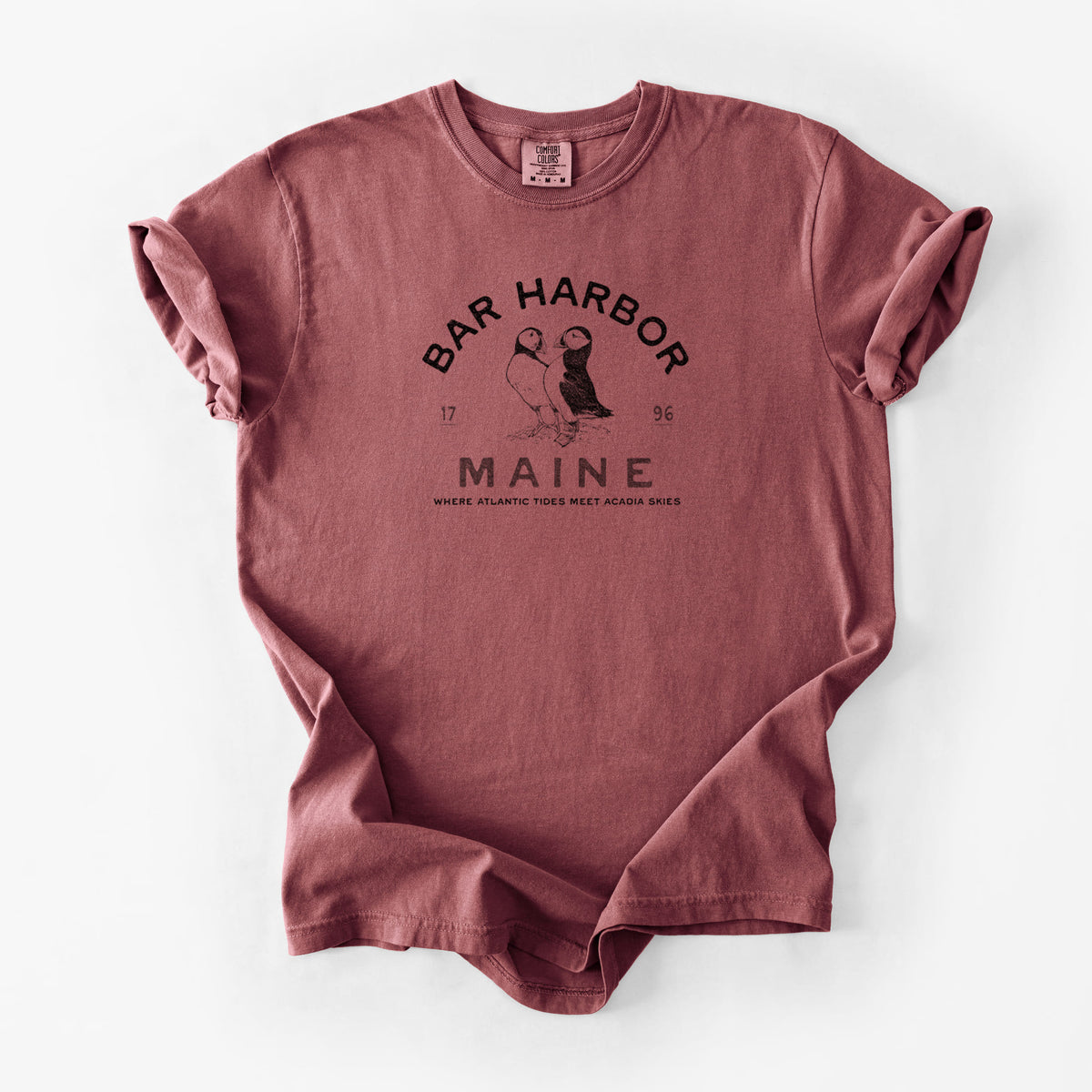 Bar Harbor Maine - Atlantic Puffins - Unisex Comfort Colors Garment-Dyed Heavyweight T-shirt