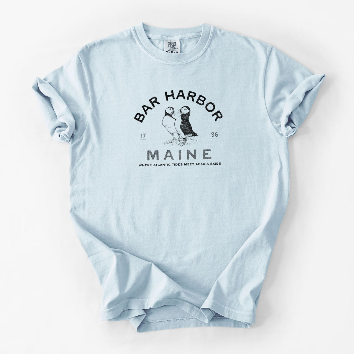 Bar Harbor Maine - Atlantic Puffins - Unisex Comfort Colors Garment-Dyed Heavyweight T-shirt