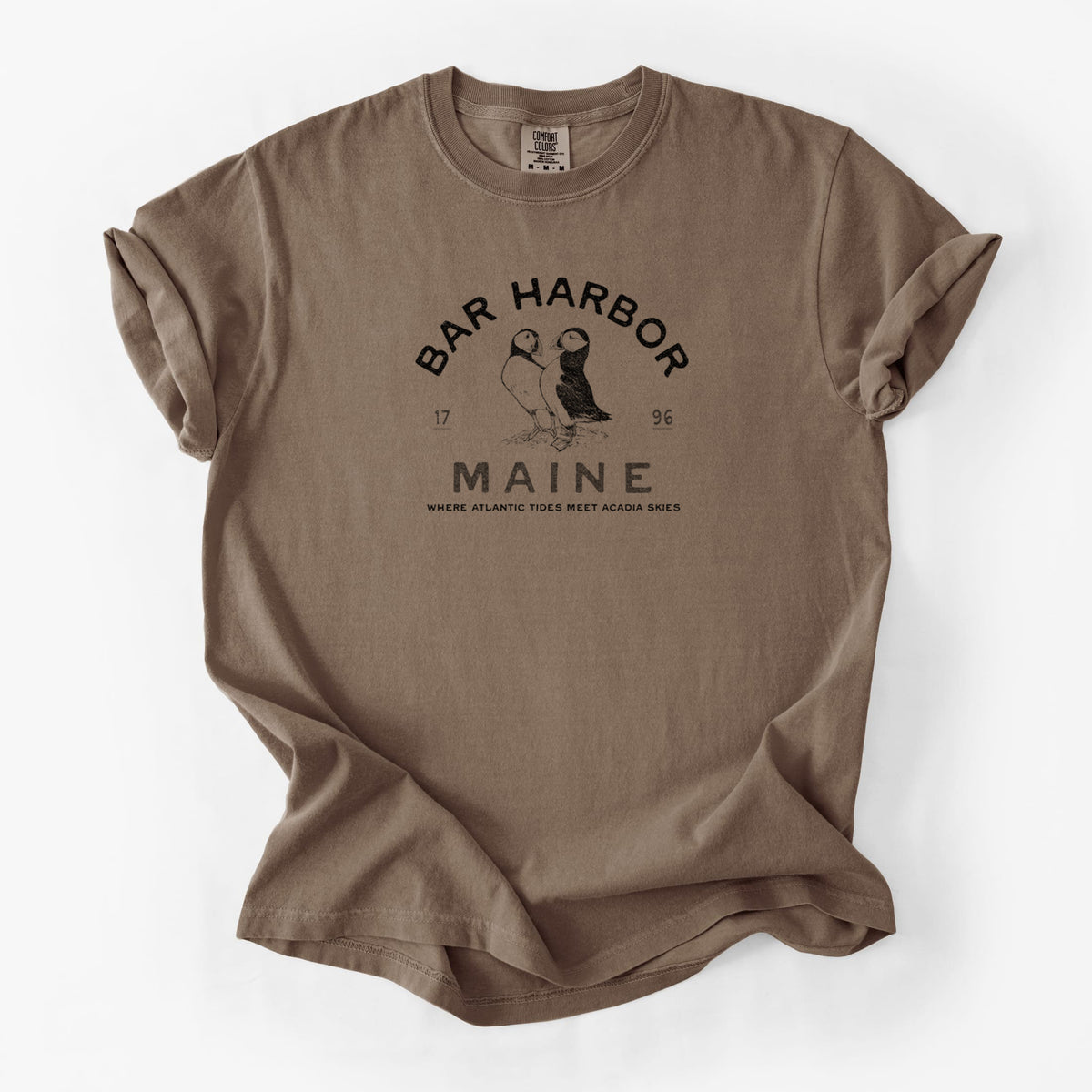 Bar Harbor Maine - Atlantic Puffins - Unisex Comfort Colors Garment-Dyed Heavyweight T-shirt