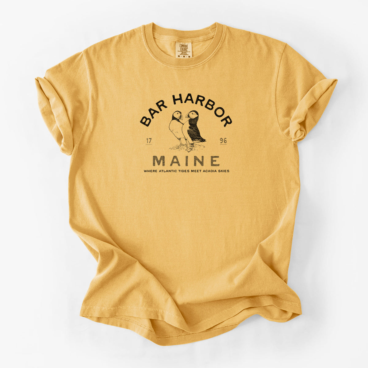 Bar Harbor Maine - Atlantic Puffins - Unisex Comfort Colors Garment-Dyed Heavyweight T-shirt