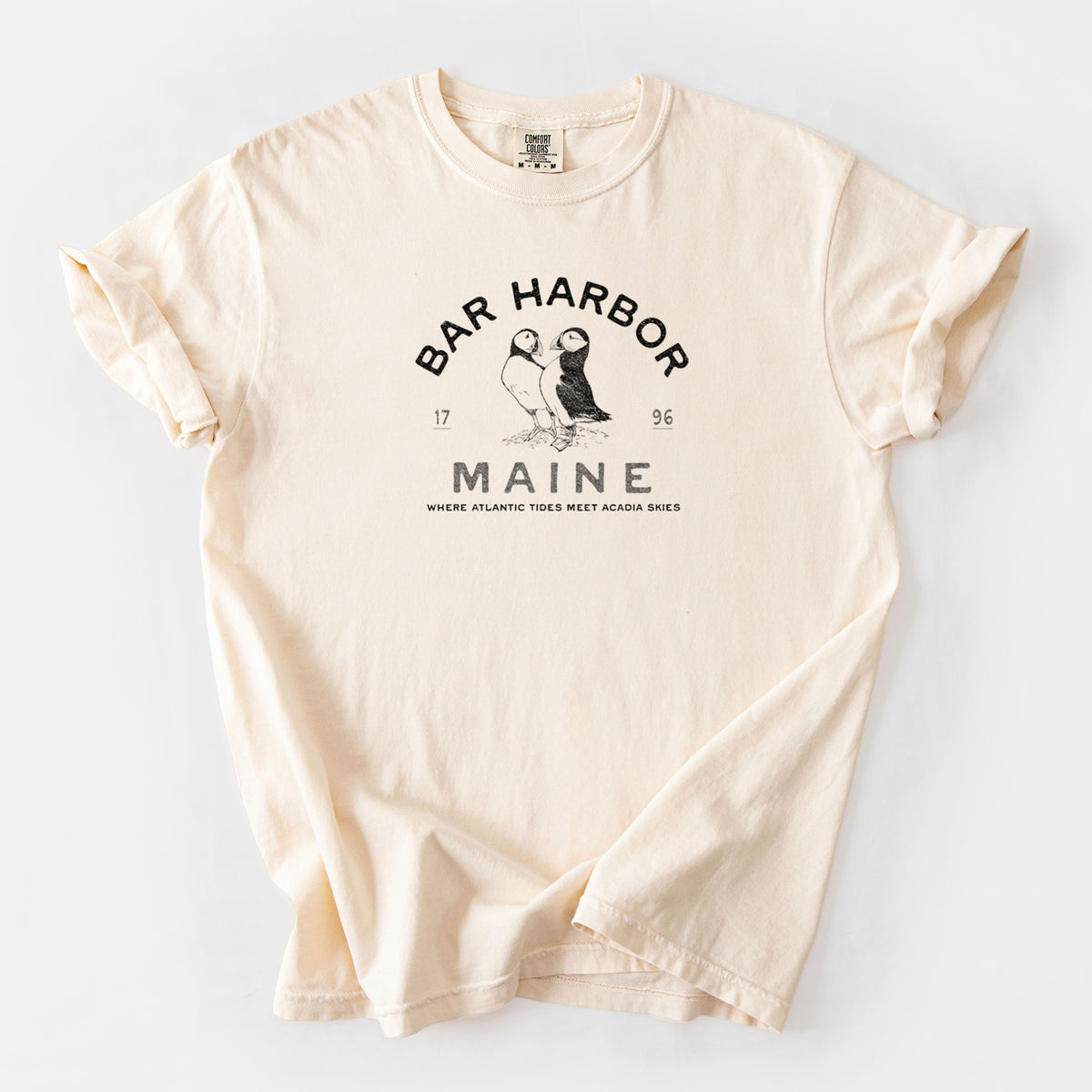 Bar Harbor Maine - Atlantic Puffins - Unisex Comfort Colors Garment-Dyed Heavyweight T-shirt