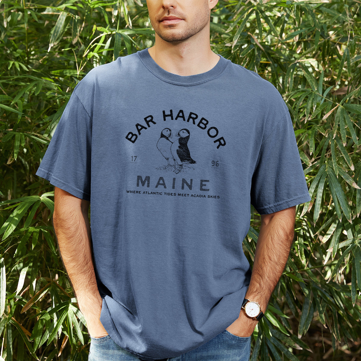 Bar Harbor Maine - Atlantic Puffins - Unisex Comfort Colors Garment-Dyed Heavyweight T-shirt