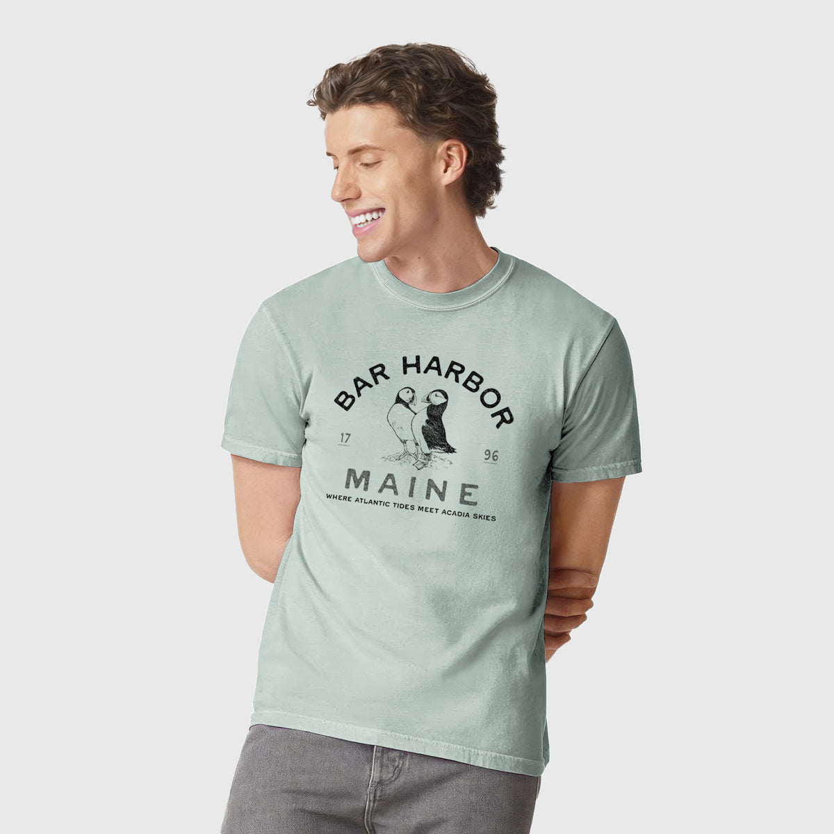 Bar Harbor Maine - Atlantic Puffins - Unisex Comfort Colors Garment-Dyed Heavyweight T-shirt