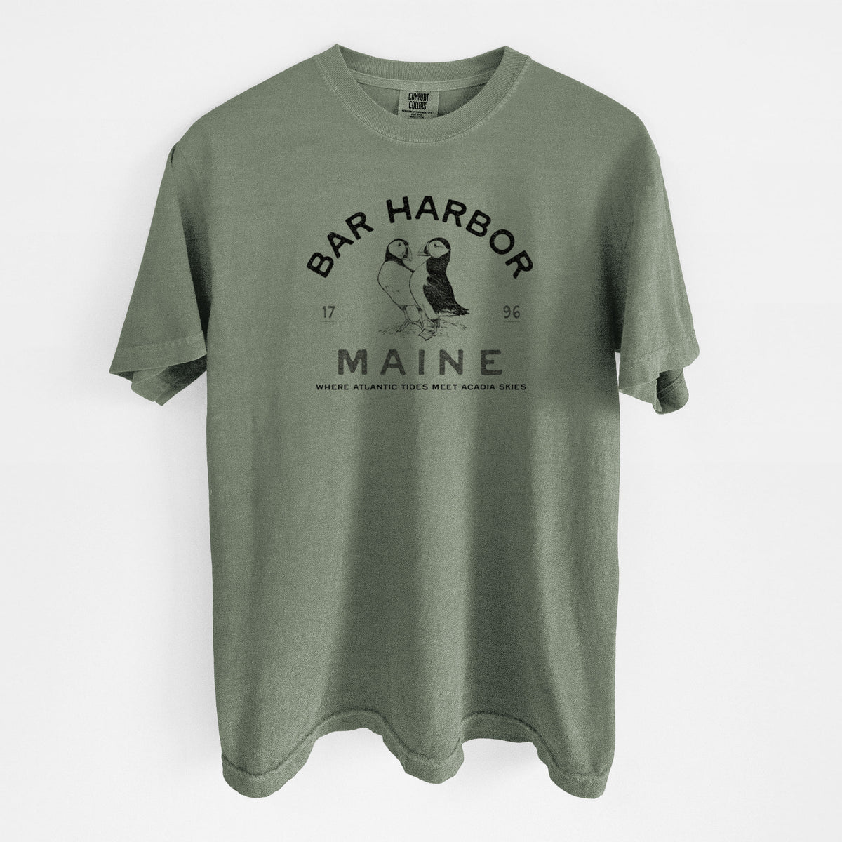 Bar Harbor Maine - Atlantic Puffins - Unisex Comfort Colors Garment-Dyed Heavyweight T-shirt