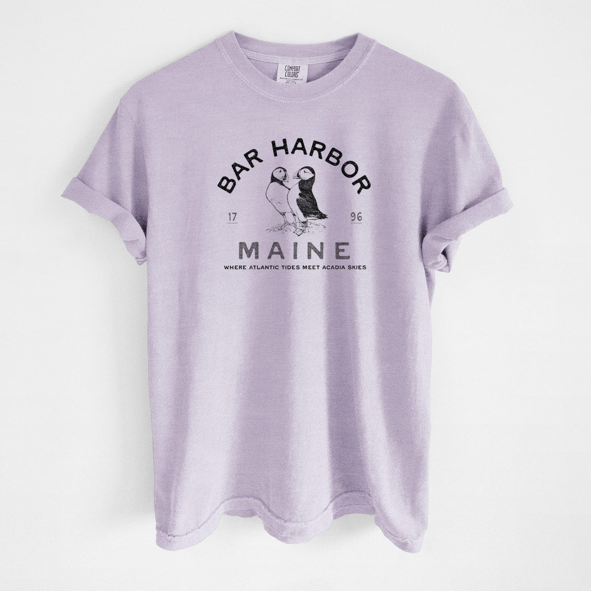 Bar Harbor Maine - Atlantic Puffins - Unisex Comfort Colors Garment-Dyed Heavyweight T-shirt