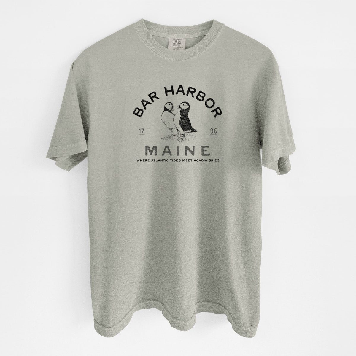Bar Harbor Maine - Atlantic Puffins - Unisex Comfort Colors Garment-Dyed Heavyweight T-shirt