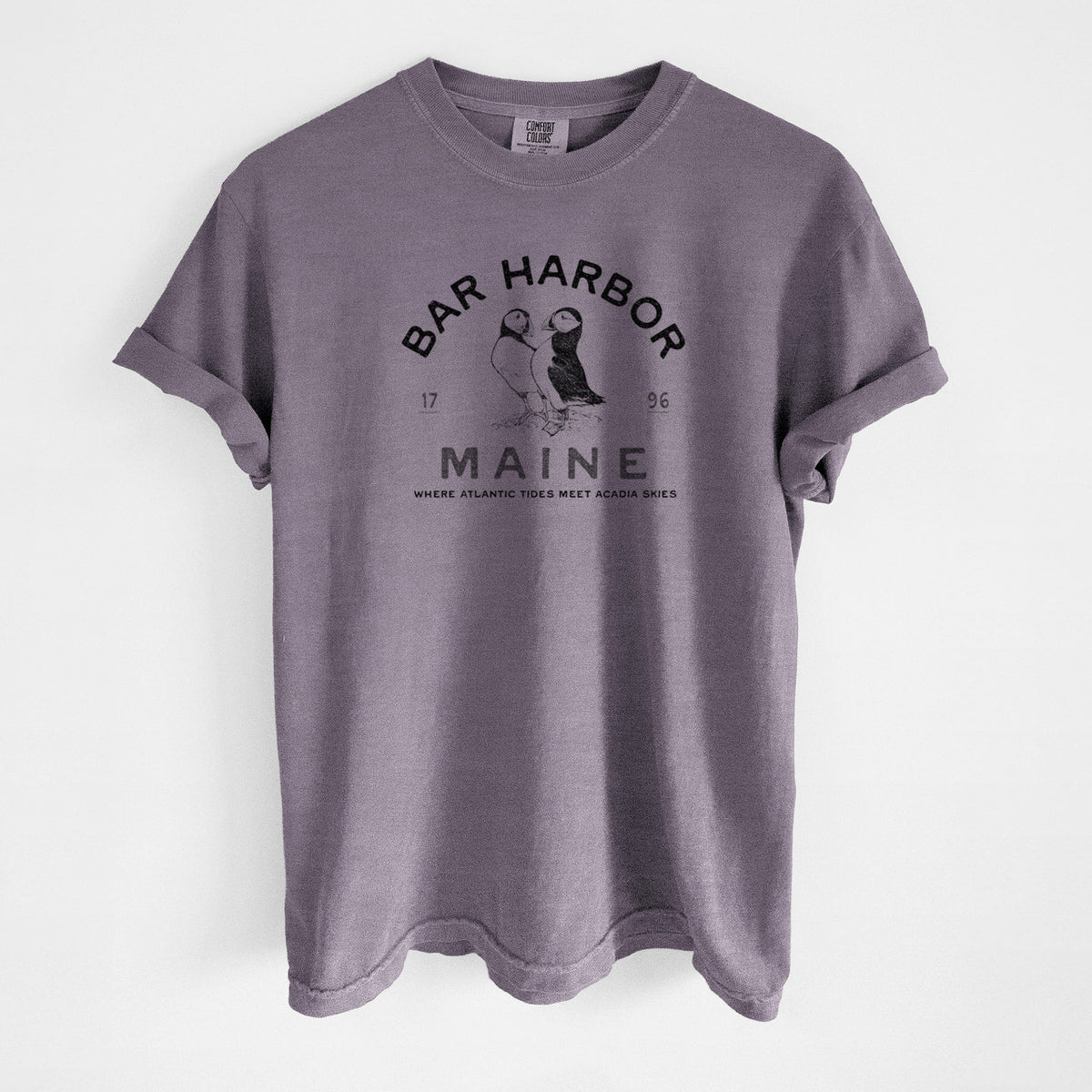Bar Harbor Maine - Atlantic Puffins - Unisex Comfort Colors Garment-Dyed Heavyweight T-shirt