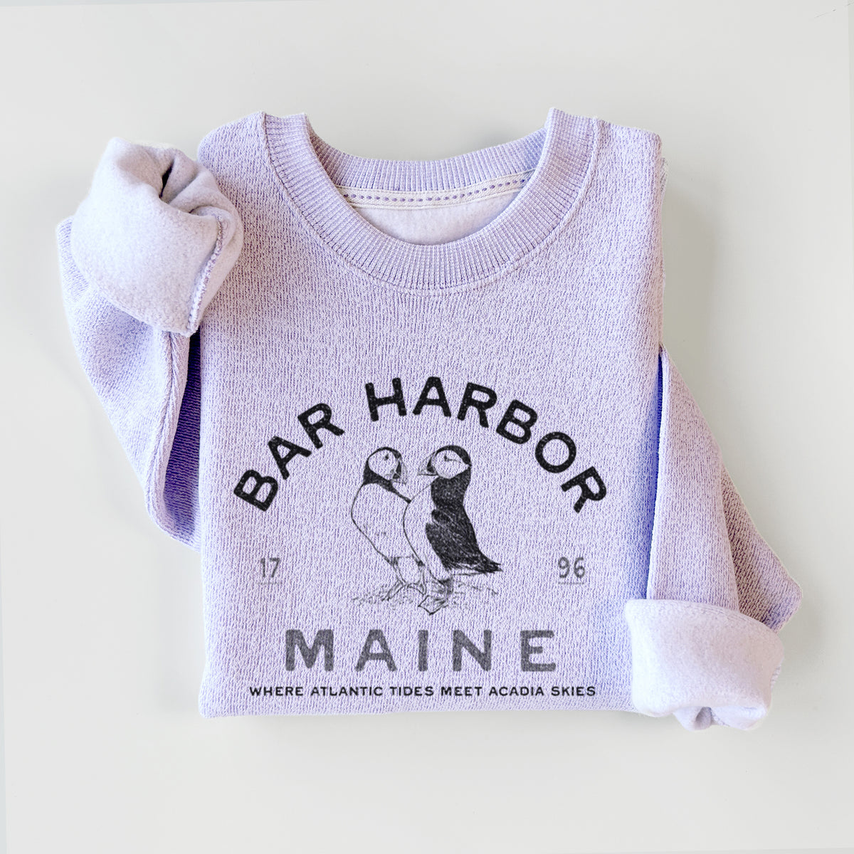 Bar Harbor Maine - Atlantic Puffins - Knit Sweatshirt
