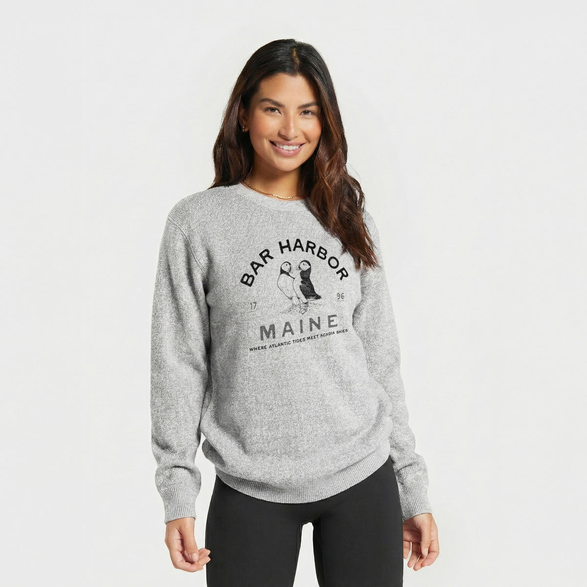 Bar Harbor Maine - Atlantic Puffins - Knit Sweatshirt